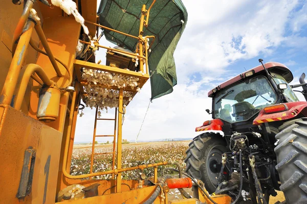 Agricultural Technics at Cotton Harvest — Stock Photo, Image