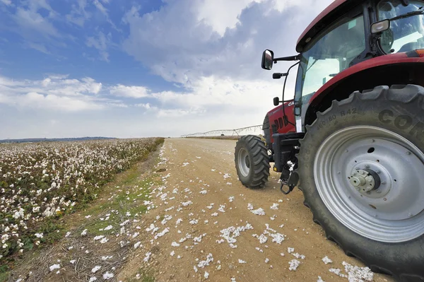 Agricultural Technics at Cotton Harvest — Stock Photo, Image