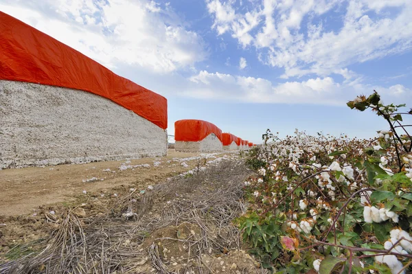 Cotton Stack — Stock Photo, Image