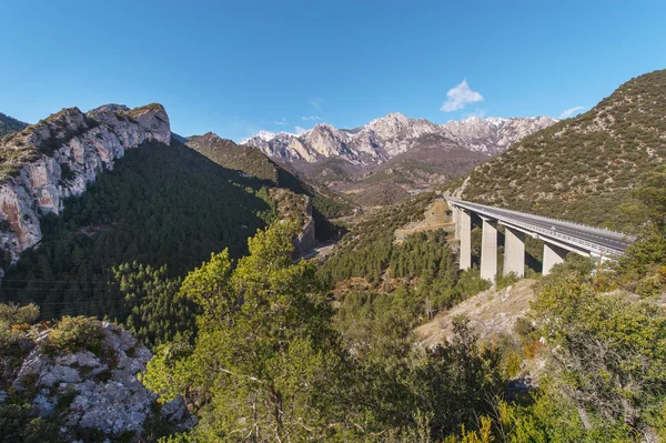 I Pyrenéerna — Stockfoto