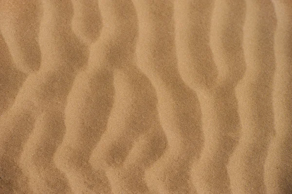 Fond ondulé de sable — Photo