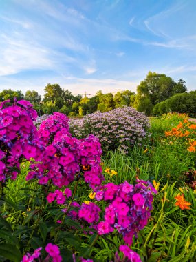 Moskova Yönetim Okulu SKOLKOVO Moskova Oblastı yakınlarındaki Moskova Oblastı 'nda bulunan bir yüksek lisans okuludur..