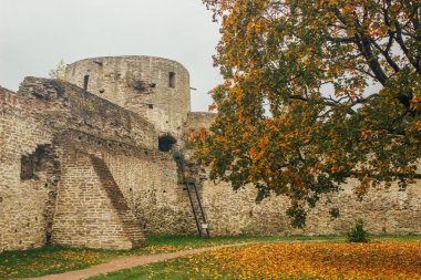 Izborsk kalesi Izborsk (Pskov bölgesi) şehrinde taştan bir kaledir. 1330 'da inşa edildi.
