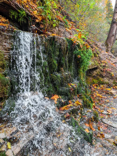 Izborsk Fästning Stenfästning Staden Izborsk Pskov Regionen Den Byggdes 1330 — Stockfoto