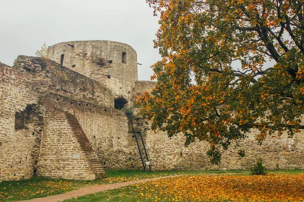 Die Festung Izborsk Ist Eine Steinerne Festung Der Stadt Izborsk — Stockfoto