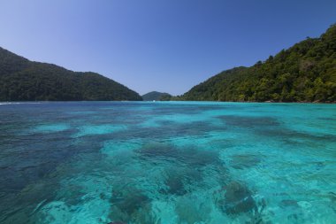 Moo koh surin Adası