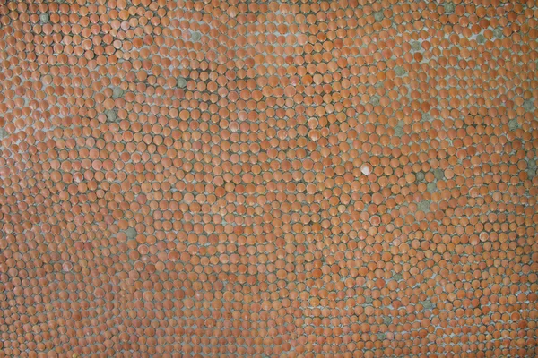 Wall made of sea shells. — Stock Photo, Image