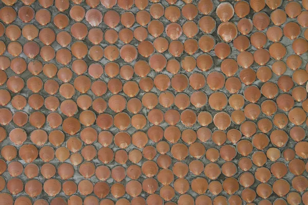 床の貝殻. — ストック写真