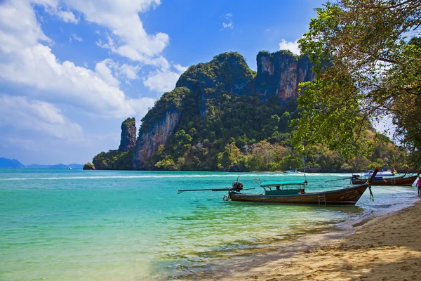 Cliff tropikal deniz manzara Phang nga koyu — Stok fotoğraf