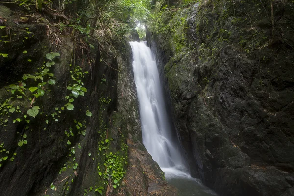 Bang Pae Wasserfall — Stockfoto