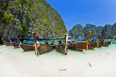 longtale tekne sahilde, krabi, Tayland