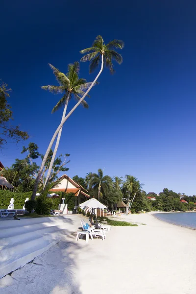 Paradise island. Koh Samui — Stock fotografie