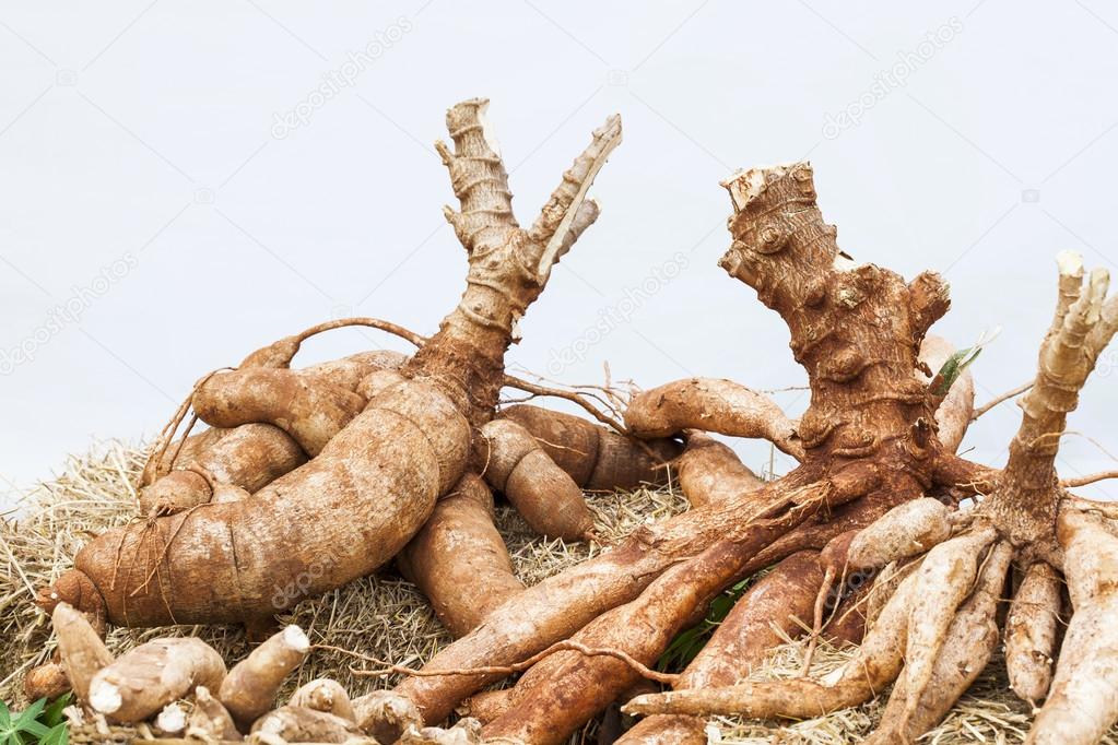 Cassava on the floor