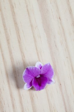 Ahşap zemin üzerinde pembe çiçekler.