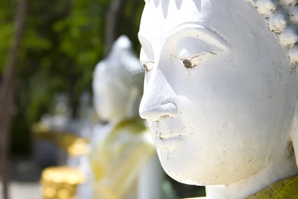 Cabeça de estátua de Buda no parque natural — Fotografia de Stock