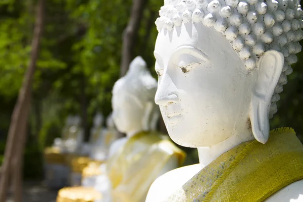 Cabeça de estátua de Buda no parque natural — Fotografia de Stock