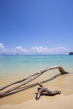 Koh Ngai 'deki güzel plajlar, Andaman Sahili' nin güneyi, Krabi Eyaleti, Tayland.