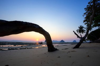 Koh Ngai 'de güzel bir sahilde gün doğumu, Andaman Sahili' nin güneyi, Krabi Eyaleti, Tayland.