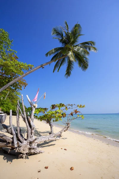 Praias Bonitas Koh Ngai Sul Costa Andaman Província Krabi Tailândia — Fotografia de Stock