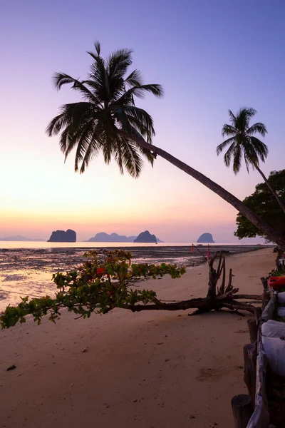 Luz Antes Nascer Sol Koh Ilha Ngai Província Trang Tailândia — Fotografia de Stock