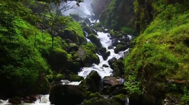 VDO, Mae Surin Şelalesi Ulusal Park, Mae Hong oğlu, Tayland