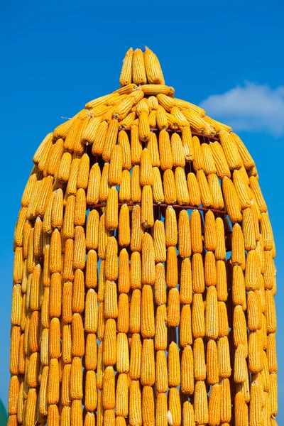 Corn Event — Stock Photo, Image