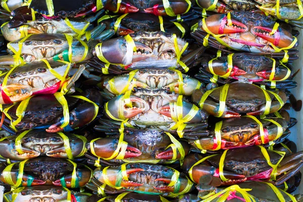 Carne de caranguejo — Fotografia de Stock