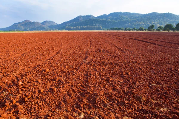 Laterite Soil texture — Stock Photo, Image