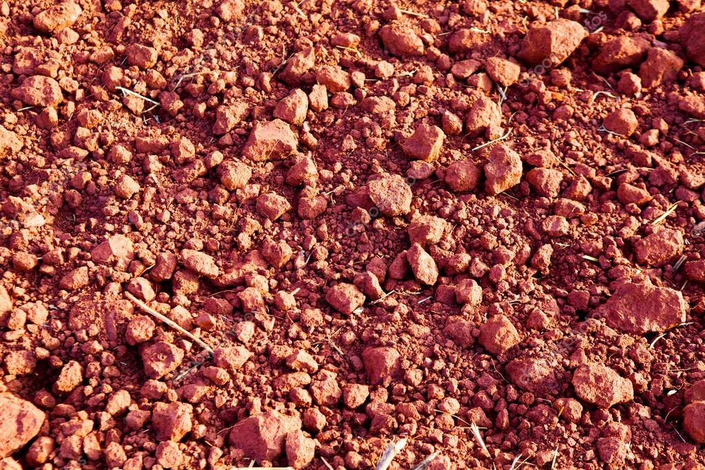 laterite soil laterite soil
