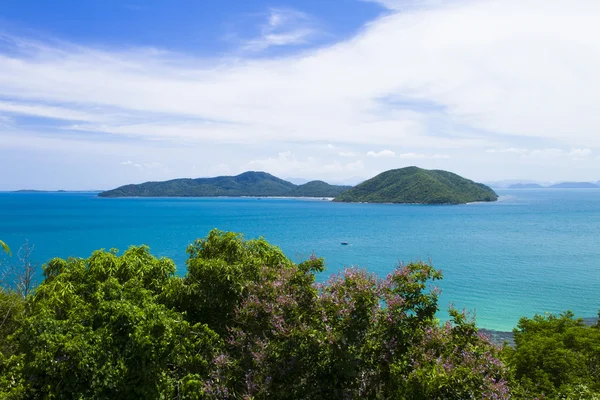 Kho bronzeado — Fotografia de Stock