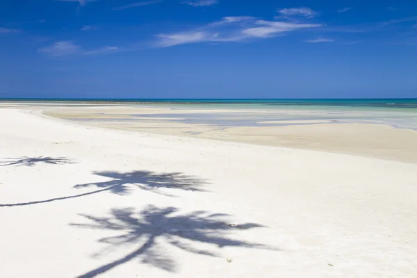 Praia com coco — Fotografia de Stock