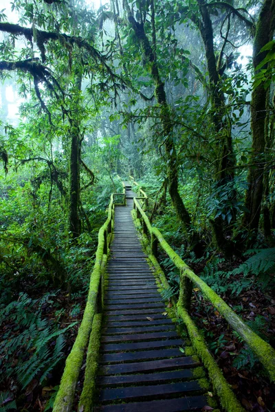 Ang Ka Doğa Yürüyüş Parkuru