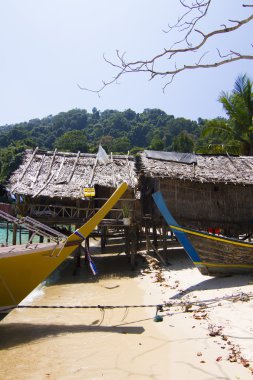 evler stilts üzerinde
