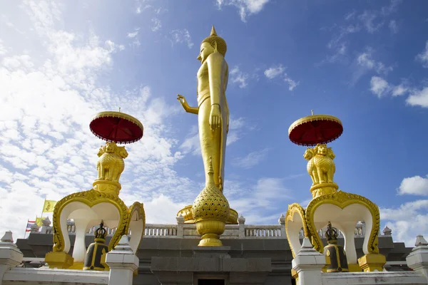 Buda. — Stok fotoğraf