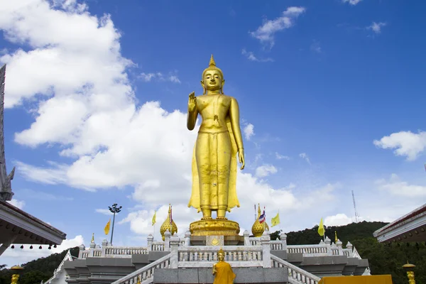 Buddha — Stock fotografie