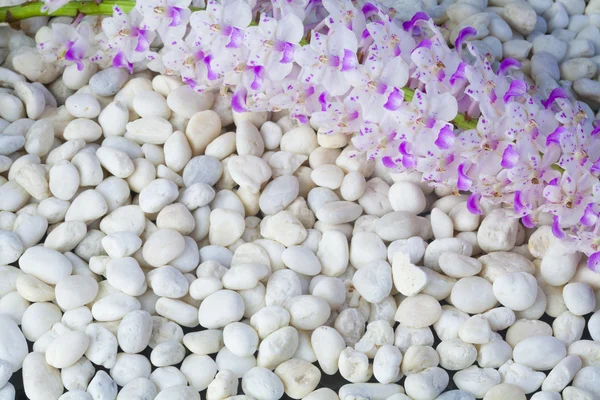 Piedras y orquídeas — Foto de Stock