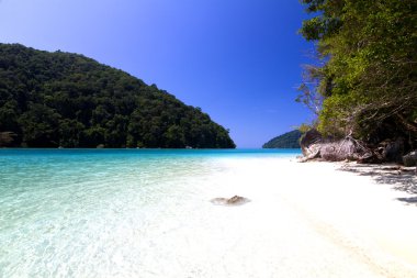 Tayland görmek