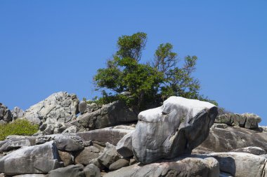 Monkey Island