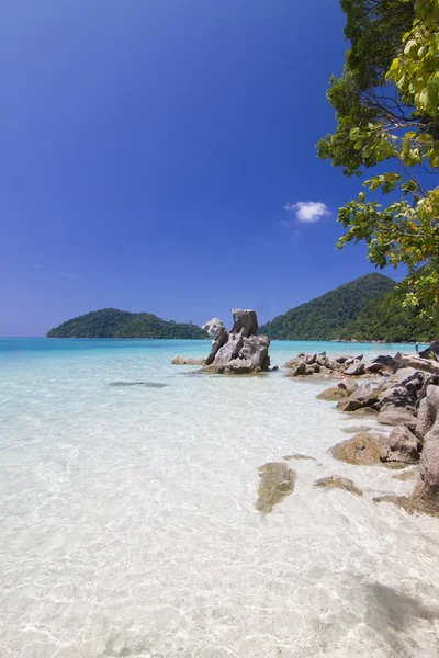 Biskopsämbetet i Thailand — Stockfoto