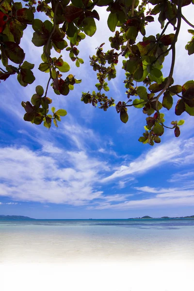 Ilha Koh Tan . — Fotografia de Stock