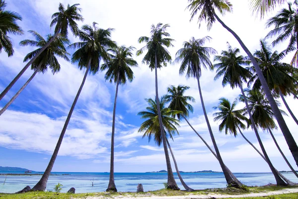 Koh Tan ö. — Stockfoto