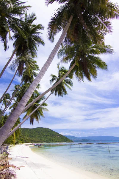 Isola di Koh Tan . — Foto Stock