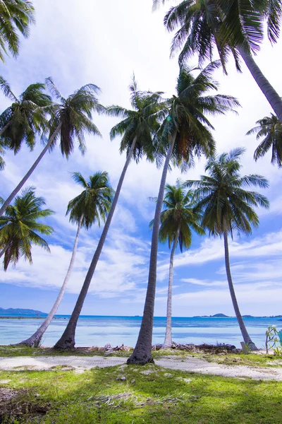Ilha Koh Tan . — Fotografia de Stock