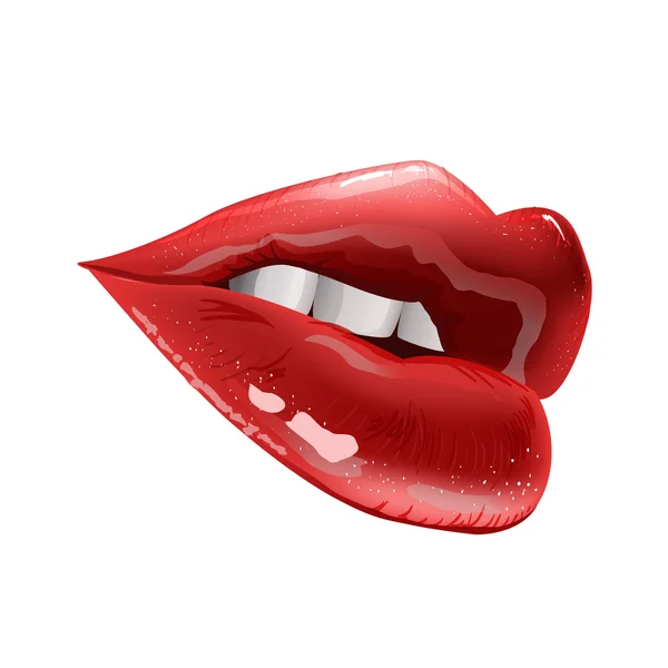 Beautiful glossy female lips. vector illustration — Stock Vector