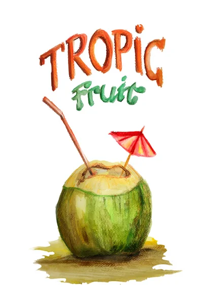 Coco sobre um fundo branco. Vetor aquarela, fruta tropical —  Vetores de Stock