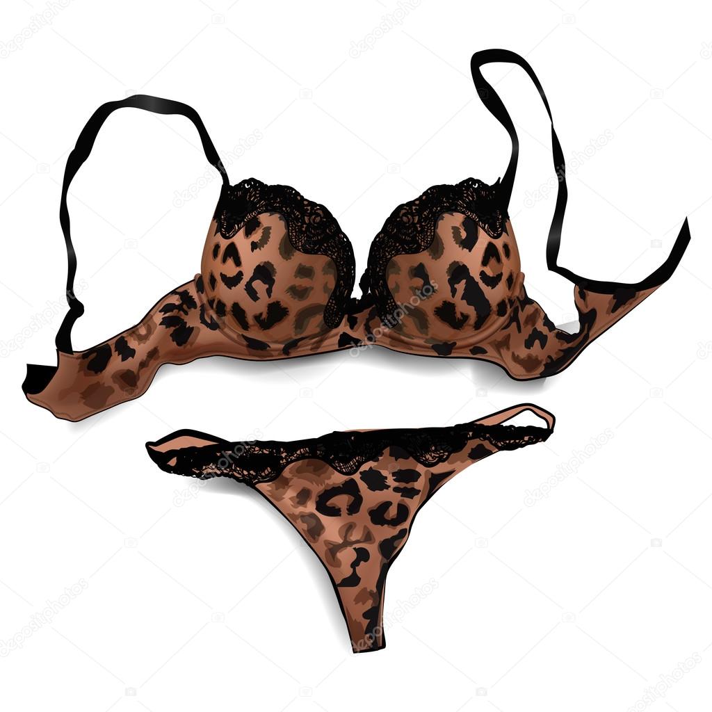 Female sexy bra and panties leopard print on white background. Vector  illustration Stock Vector by ©vkatrevich 87610096