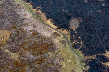 Waldridge Fell 'deki kundaklama olayının insansız hava aracı görüntüsü. Durham İlçesine Özel Bilimsel İlgi Alanı. Büyük fundalıkların ardından kavrulmuş siyah çalılar ve gorse çalıları..