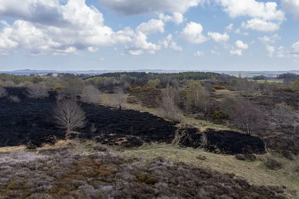Drone view of recent arson attack at Waldridge Fell. Site of Special Scientific Interest in County Durham. Scorched black heather and gorse bushes after large heath fire.