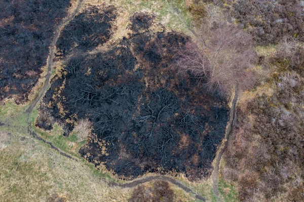 Drone view of recent arson attack at Waldridge Fell. Site of Special Scientific Interest in County Durham. Scorched black heather and gorse bushes after large heath fire.