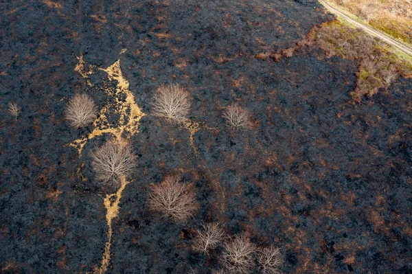 Drone view of recent arson attack at Waldridge Fell. Site of Special Scientific Interest in County Durham. Scorched black heather and gorse bushes after large heath fire.